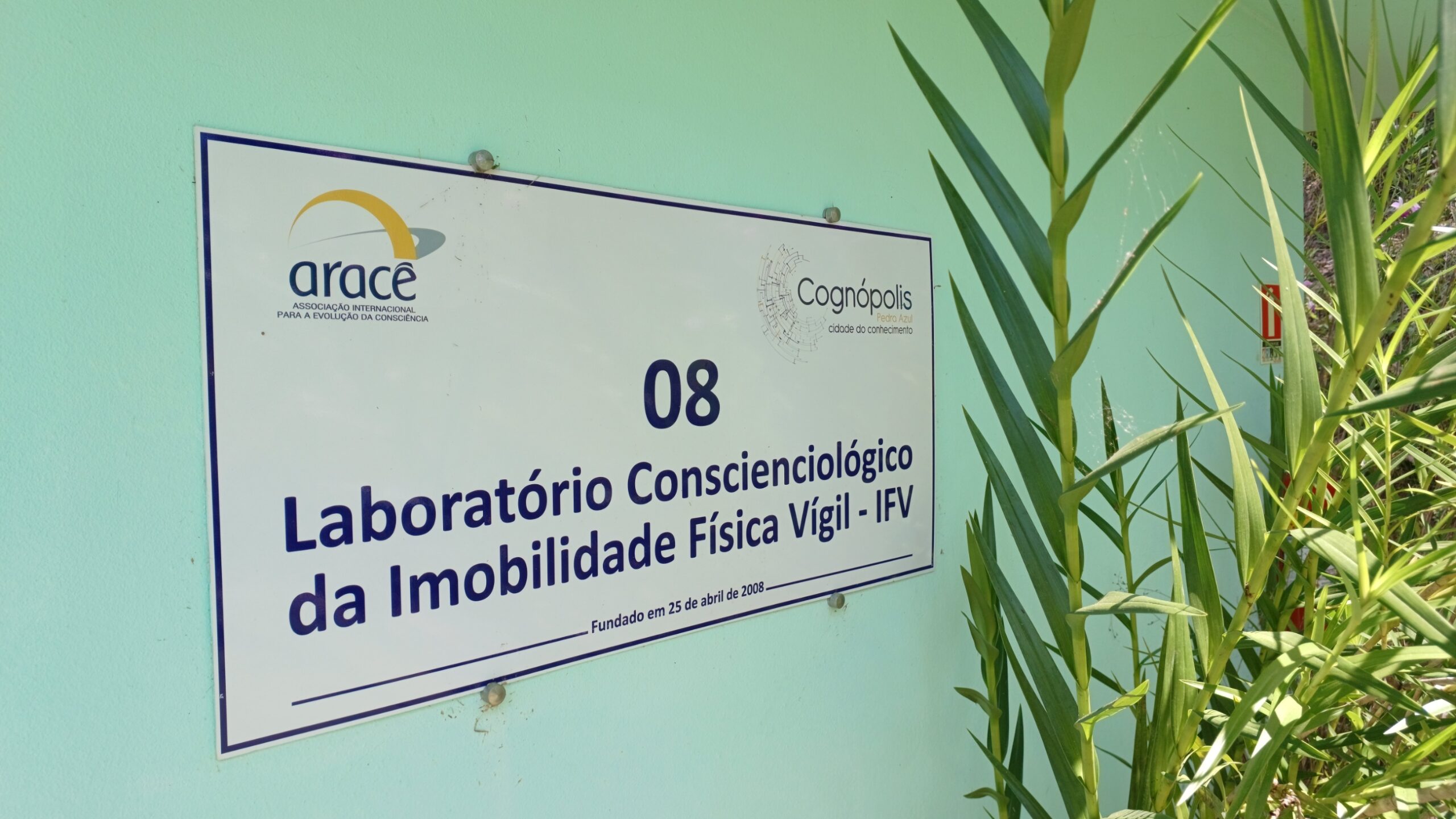 Imobilidade Física Vígil (IFV) - Imagem 2