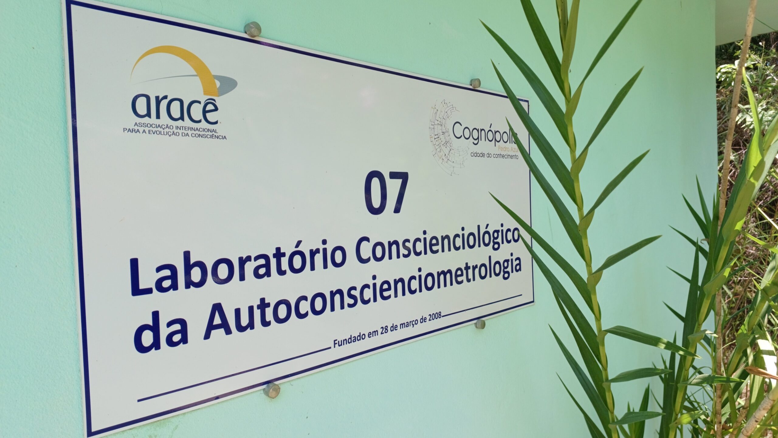Autoconscienciometrologia - Imagem 2